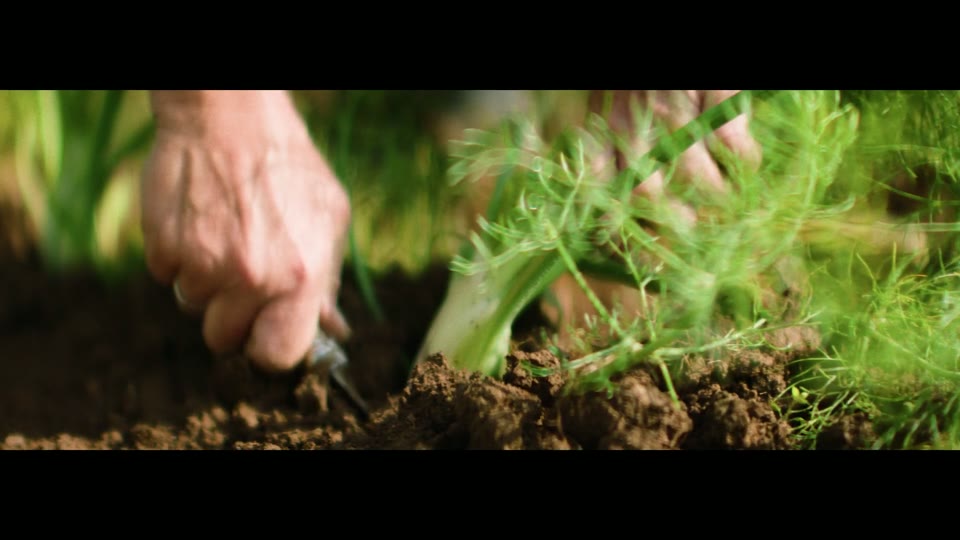 Commercial