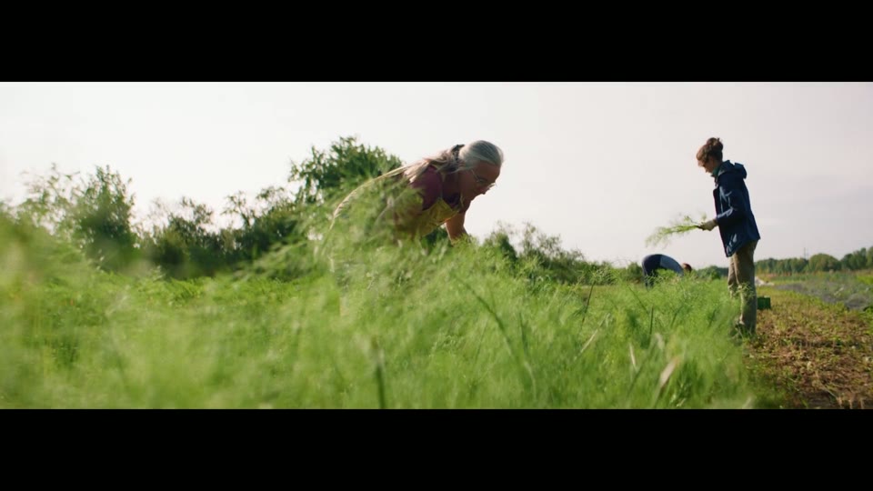 Commercial