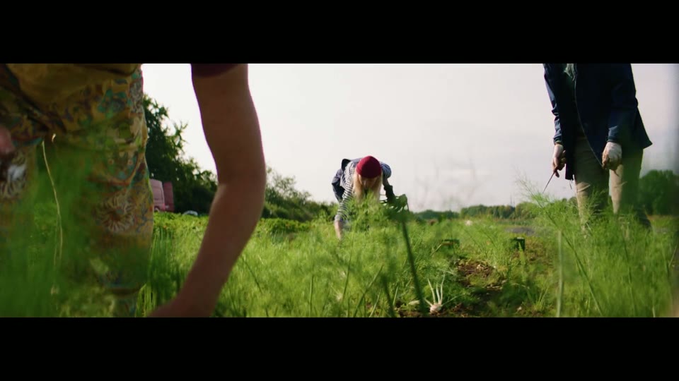 Commercial
