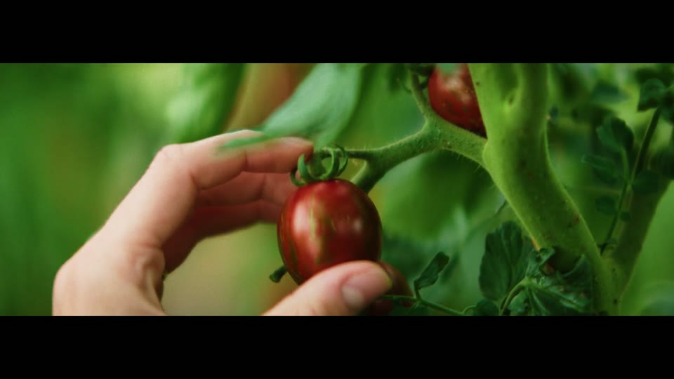 Commercial